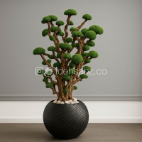 درخت جاویدان | ایده سبز