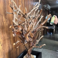 ساخت درخت جاویدان ایده سبز | Eternal Moss Tree