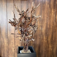 مراحل ساخت درخت جاویدان ایده سبز