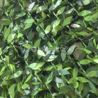 خرید فنس برگی پرتقالی | چشمه 5