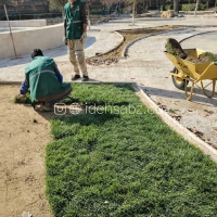 چمنکاری با چمن رولی طبیعی اسپرت 