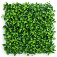 خرید گرین وال برگ پرتقالی ایده سبز