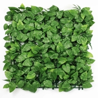 خرید گرین وال برگ پتوس | قیمت گرین وال برگ پتوس