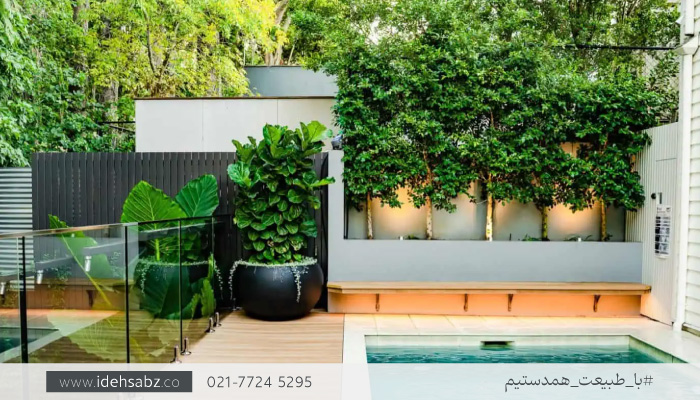 دیزاین محوطهسازی استخر | ایده سبز