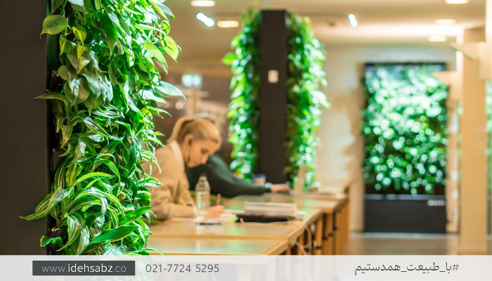 دیوار سبز | گرین وال