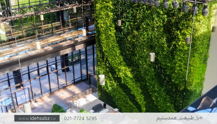گیاهان مناسب دیوار سبز | گیاهان گرین وال