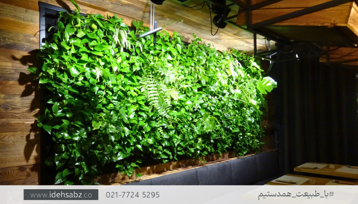 لامپ رشد گیاهان دیوار سبز | گرین وال