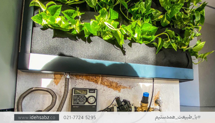 آبیاری قطرهای  گرین وال | مراقبت از گیاهان دیوار سبز