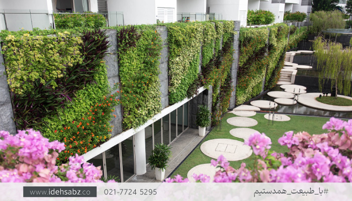 آشنایی با گیاهان مناسب دیوار سبز بیرونی | گرین وال خارجی