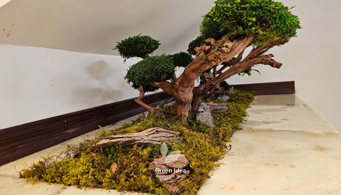 نمونه کار | باغچه خزهای اختصاصی برای دکور کتابخانه باهنر توسط ایده سبز