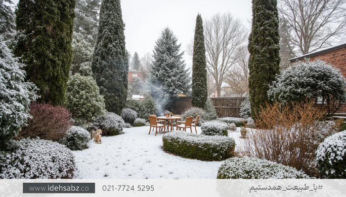 محوطه سازی فضای باز | گیاهان سردسیری