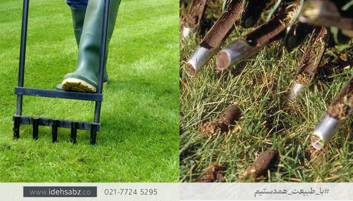 هوادهی چمن برموداگراس | تیغ زنی چمن برموداگرس