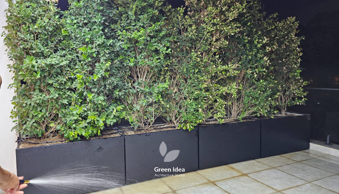 نمونه کار | تراس سبز با فلاورباکسهای ایده سبز