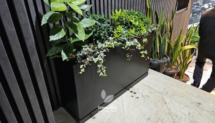 فلاورباکس برای ورودی باشگاه ایرانوس انفیت