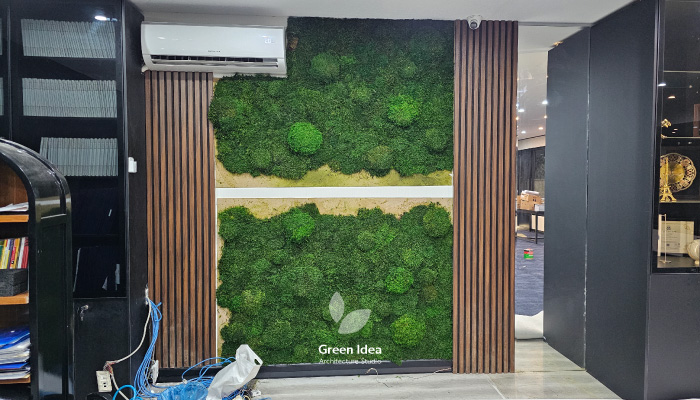 اجرای ماسوال در دفتر خانه تجار تهران