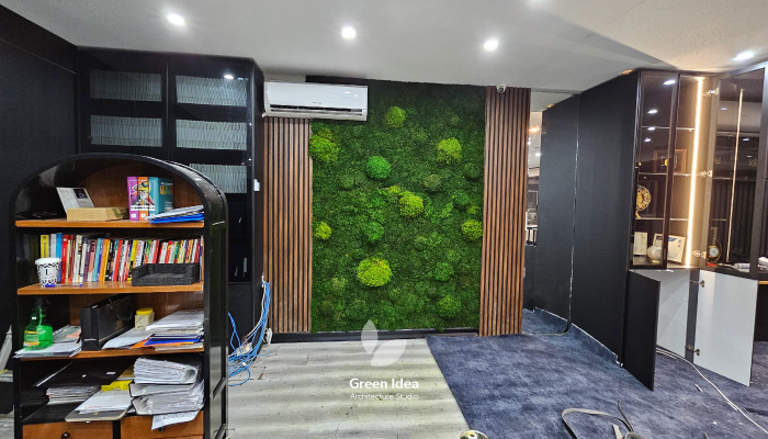 نمونه کار ساخت ماسوال برای بازرگانی خانه تجار