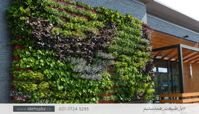 دیوار سبز طبیعی | طراحی ویلای ساده