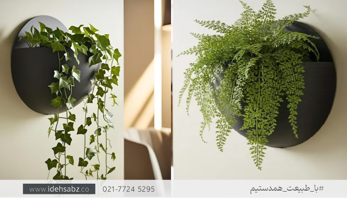 فلاورباکس فلزی | گلدان دیواری