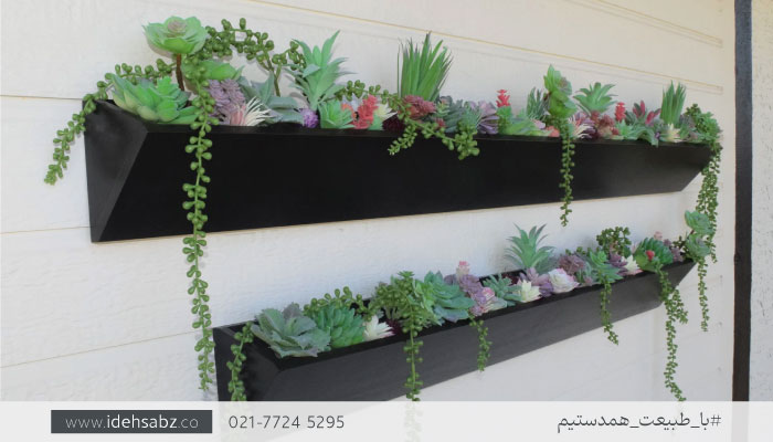 گیاهان مناسب گلدان دیواری | فلاورباکس دیواری