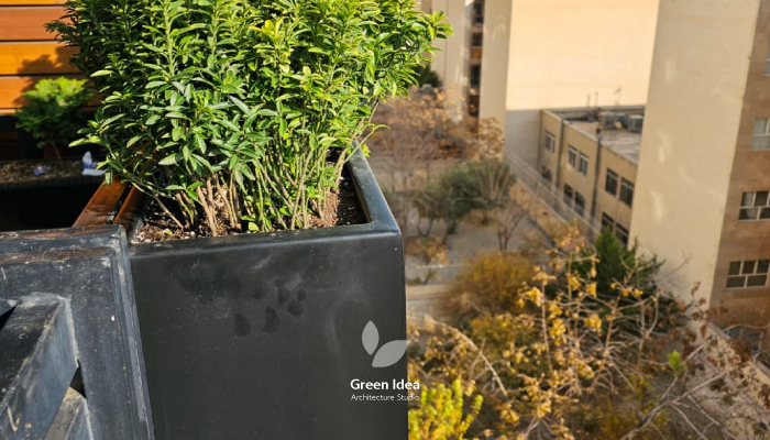 طراحی تراس سبز پرتابل با فلاورباکسهای فلزی ایده سبز