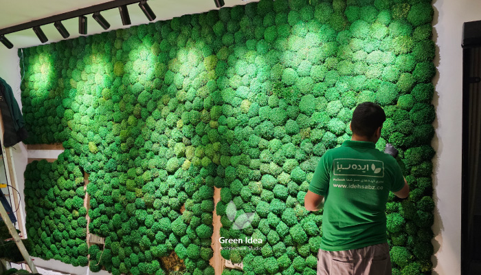 شرکت مجری دیوار خزه ای در تهران