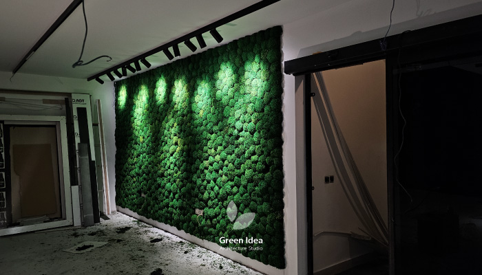 نمونه کار ماس وال شرکت کاله