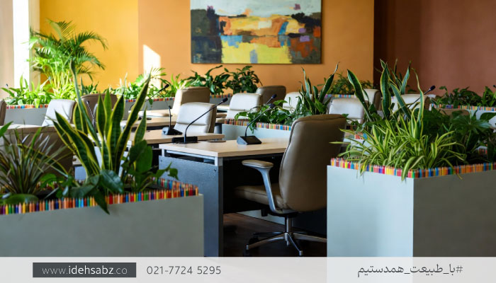 گیاهان مناسب فلاور باکس در فضای اداری | ایده سبز 