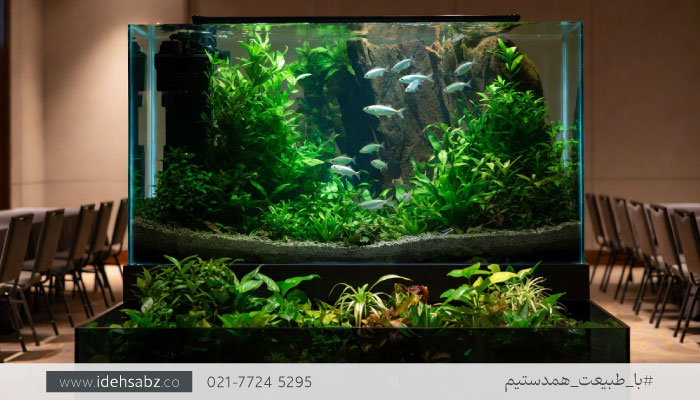 آکواریوم گیاهی | طراحی اتاق کنفرانس