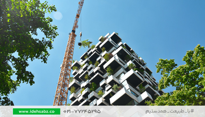 مراحل جابجایی درخت به روش روت بال | شرکت ایده سبز