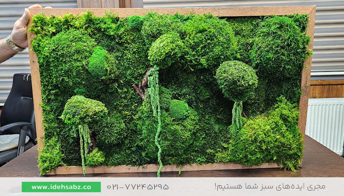 عکس تابلو خزه&zwnj;ای | طراحی و ساخت تابلو خزه&zwnj;ای توسط ایده سبز 