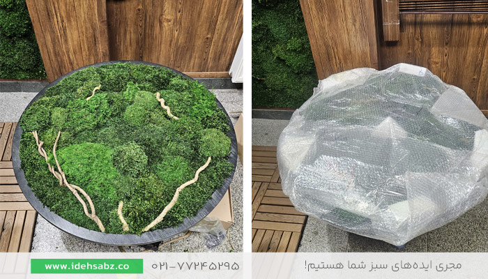 عکس نحوه بسته بندی تابلو خزه&zwnj;ای پس از ساخت