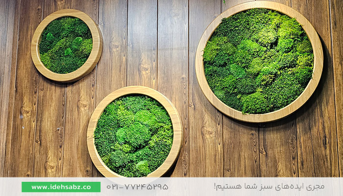 عکس استفاده از تابلو خزه&zwnj;ای در دکوراسیون داخلی