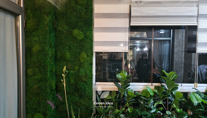 دیوار خزه ای و فلاورباکس در بالکن سبز