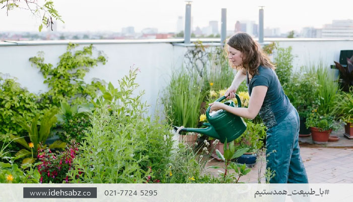 مراقبت از گیاهان روف گاردن