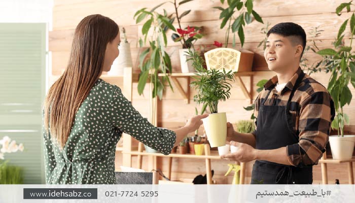 راهنمای انتخاب بهترین گیاهان مناسب روف گاردن