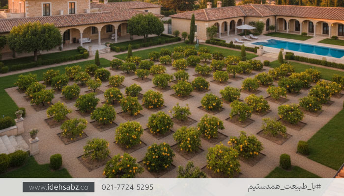 چینش درختان میوه در باغ مدل مربع | چیدمان درختان میوه در باغ