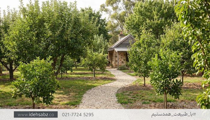 طراحی باغ در زمین مستطیل | الگوی کاشت درختان در زمین کشیده